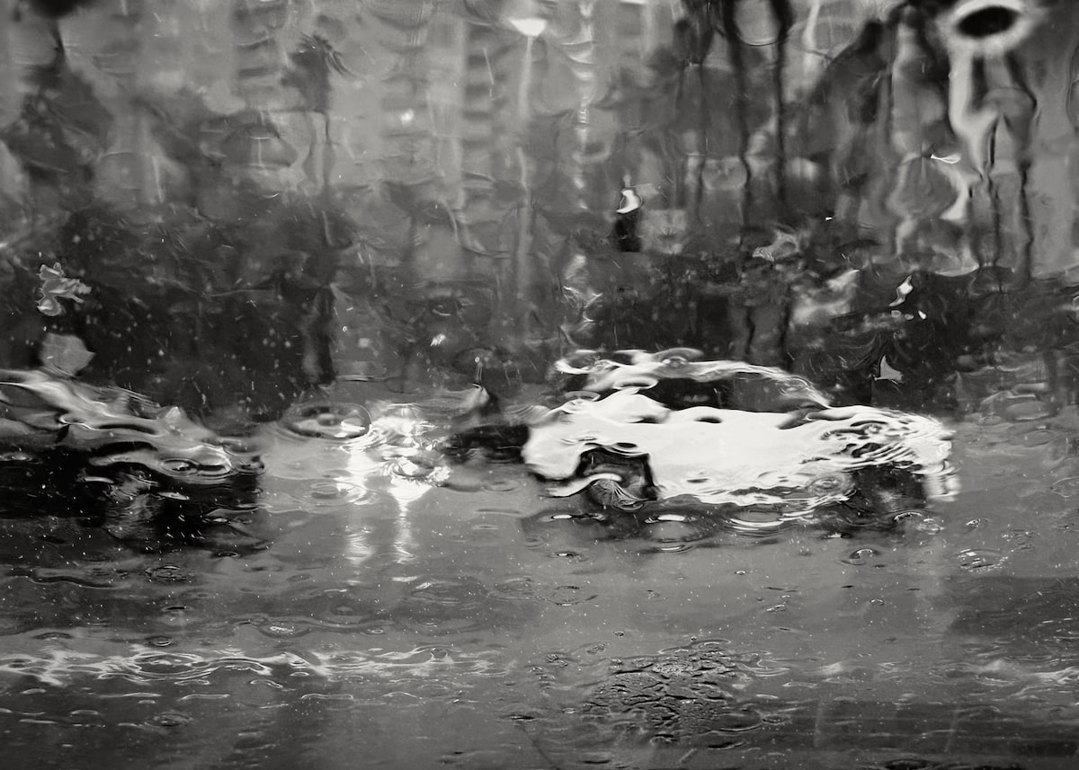 Marina Del Rain illustration and feature artwork